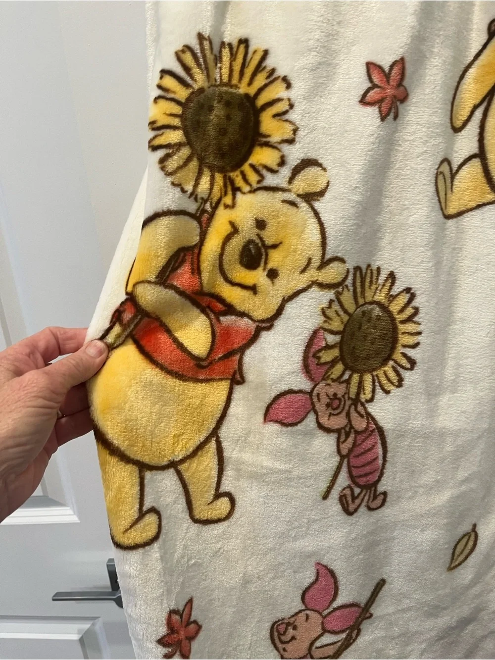 Disney 2026 Winnie thePooh Plush Blanket 90IN. X 90IN. (229CM. X 229CM.)